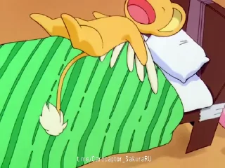 🛏