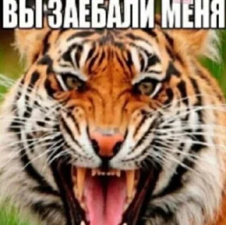 😡