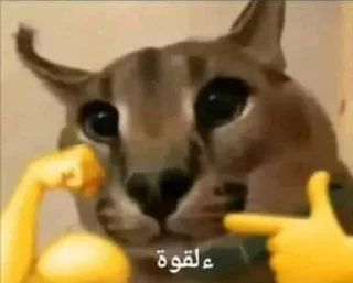 💪
