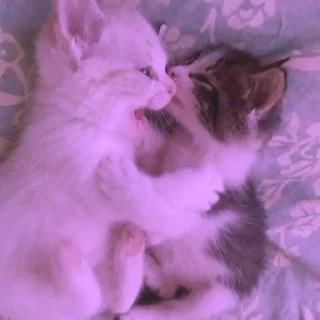 💜