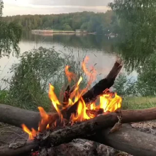 🌟