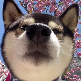 😋