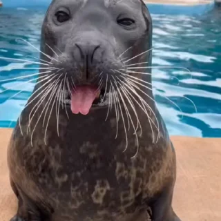 😛