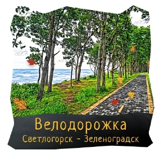 🚴