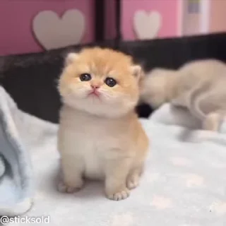 😅