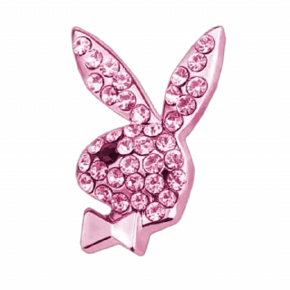 🐰