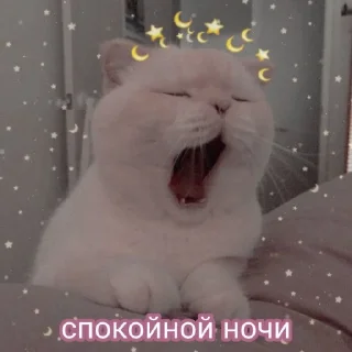 😘