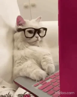 🤓
