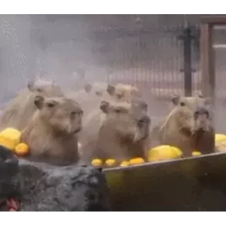🛀