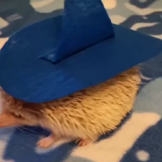 🧙‍♀