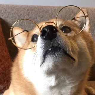 😎