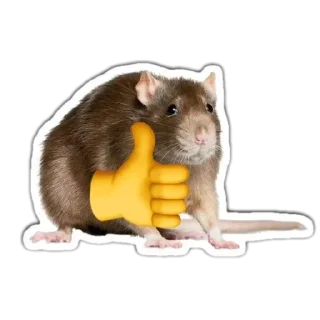 👍