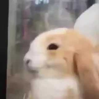 🙂
