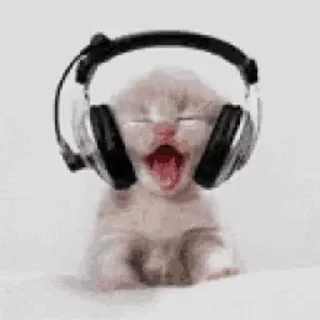 🎧
