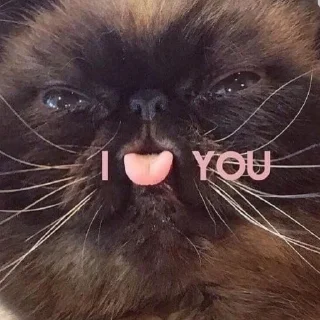 ❤️
