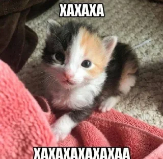 ☠️