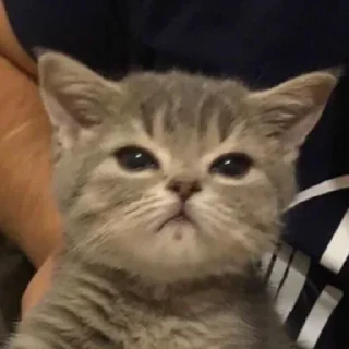 🤯