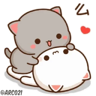 😽