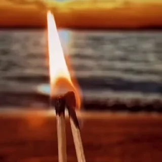 🌟