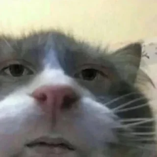 😕