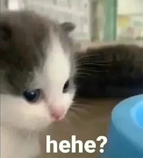 ☺️