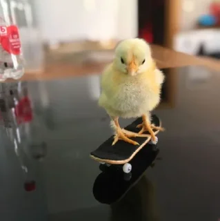 🤩