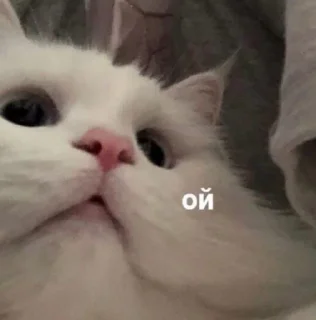🤭