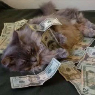 💵