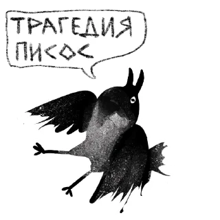 🐦‍⬛