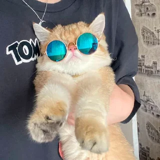 🤩