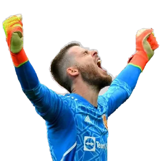 👍