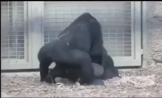 🔞