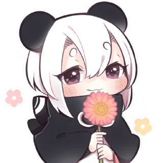 🌺