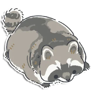 🦝