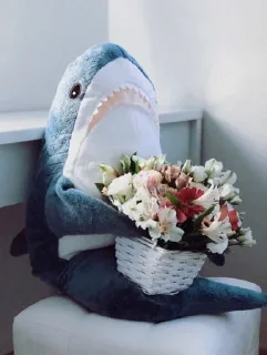 🌺