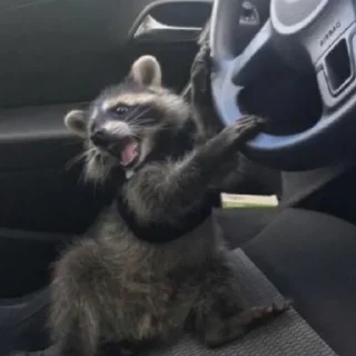 🚗