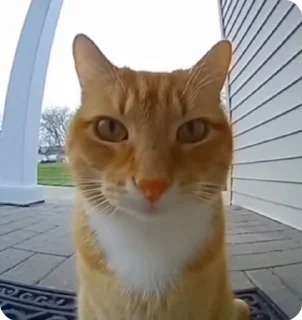 😍