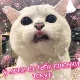 😋