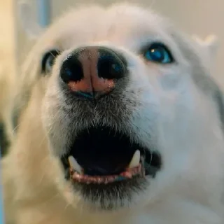 🌟