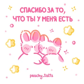 🐱