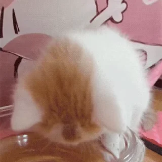 🍴
