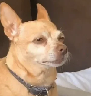 😕