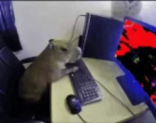 🖥