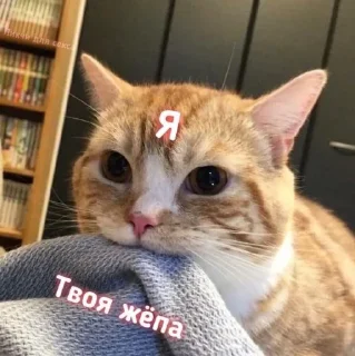 ❤️