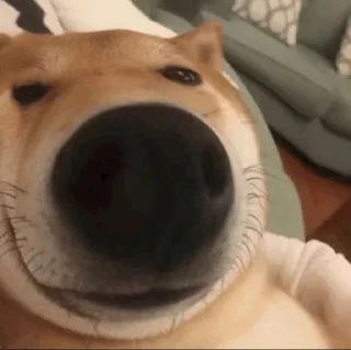 ☺️
