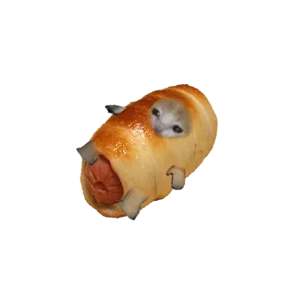 🌭
