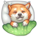 💤