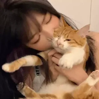 💗
