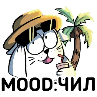 😎