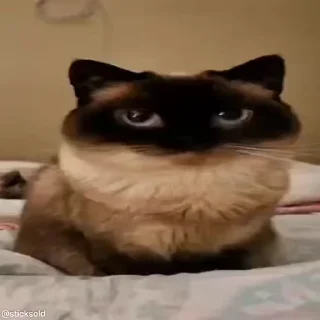 🧐